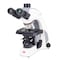 Motic Instruments Usa Panthera C2 Trinocular 50:50 Simple Phase Package Compound Upright Microscope 1100104601161 - alternate 1